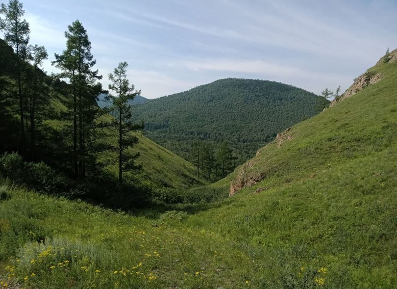 Лучшее время для посещения