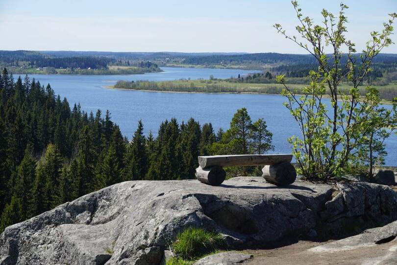 Городище Паасонвуори