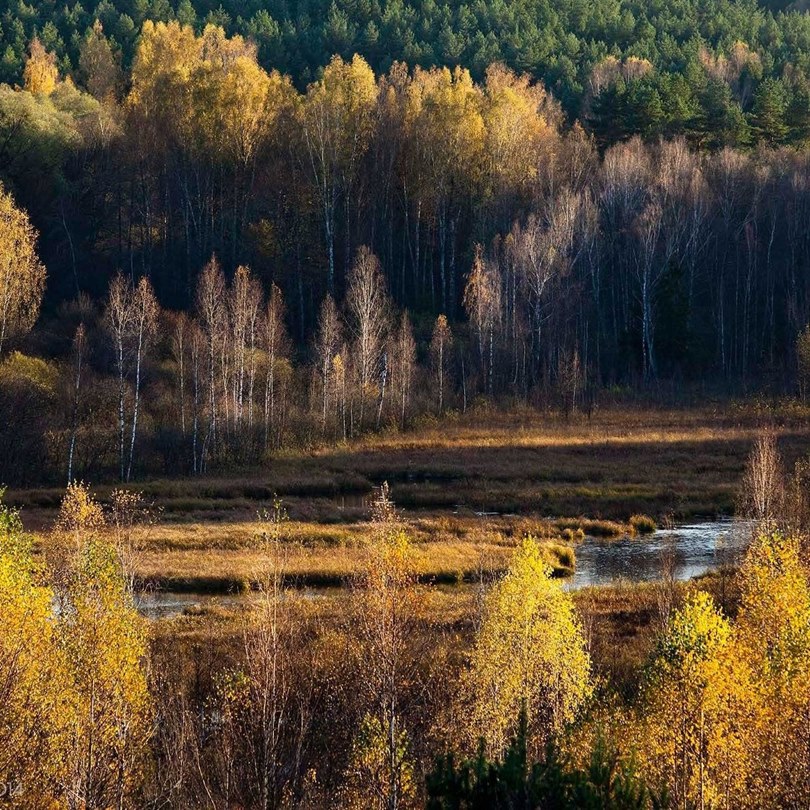 Парк «Виштынецкий»