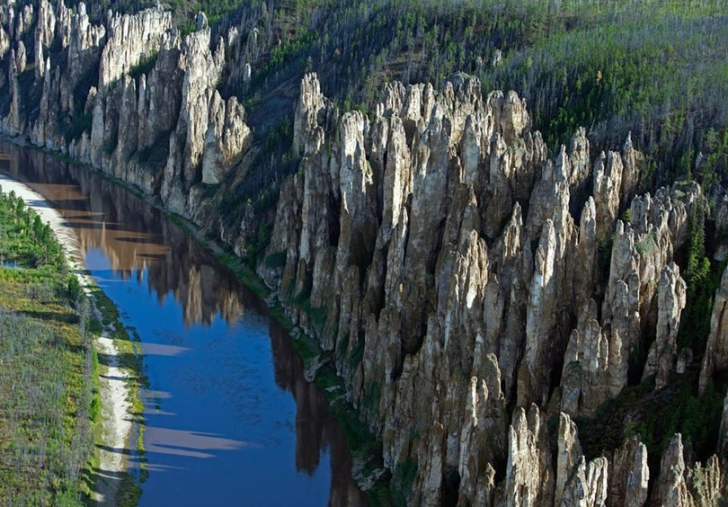 Флора и фауна парка «Ленские столбы»