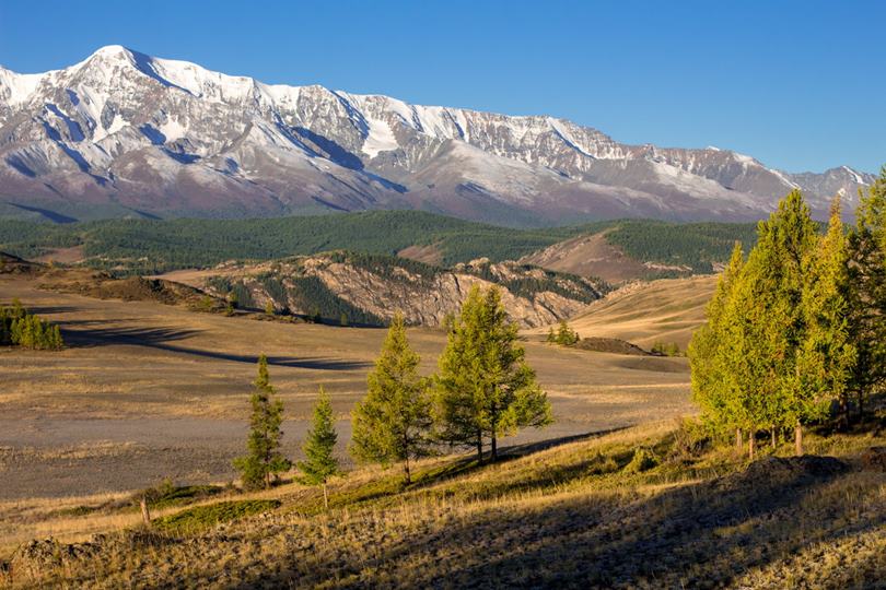 Курайская степь