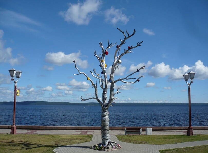 «Дерево желаний».