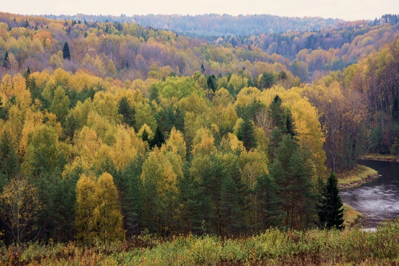 Заповедные уголки