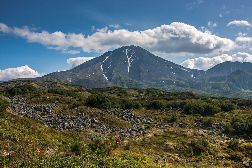 Бакенинг