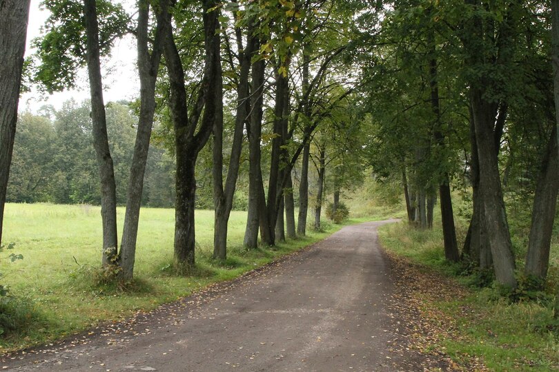 Звенигородский городок